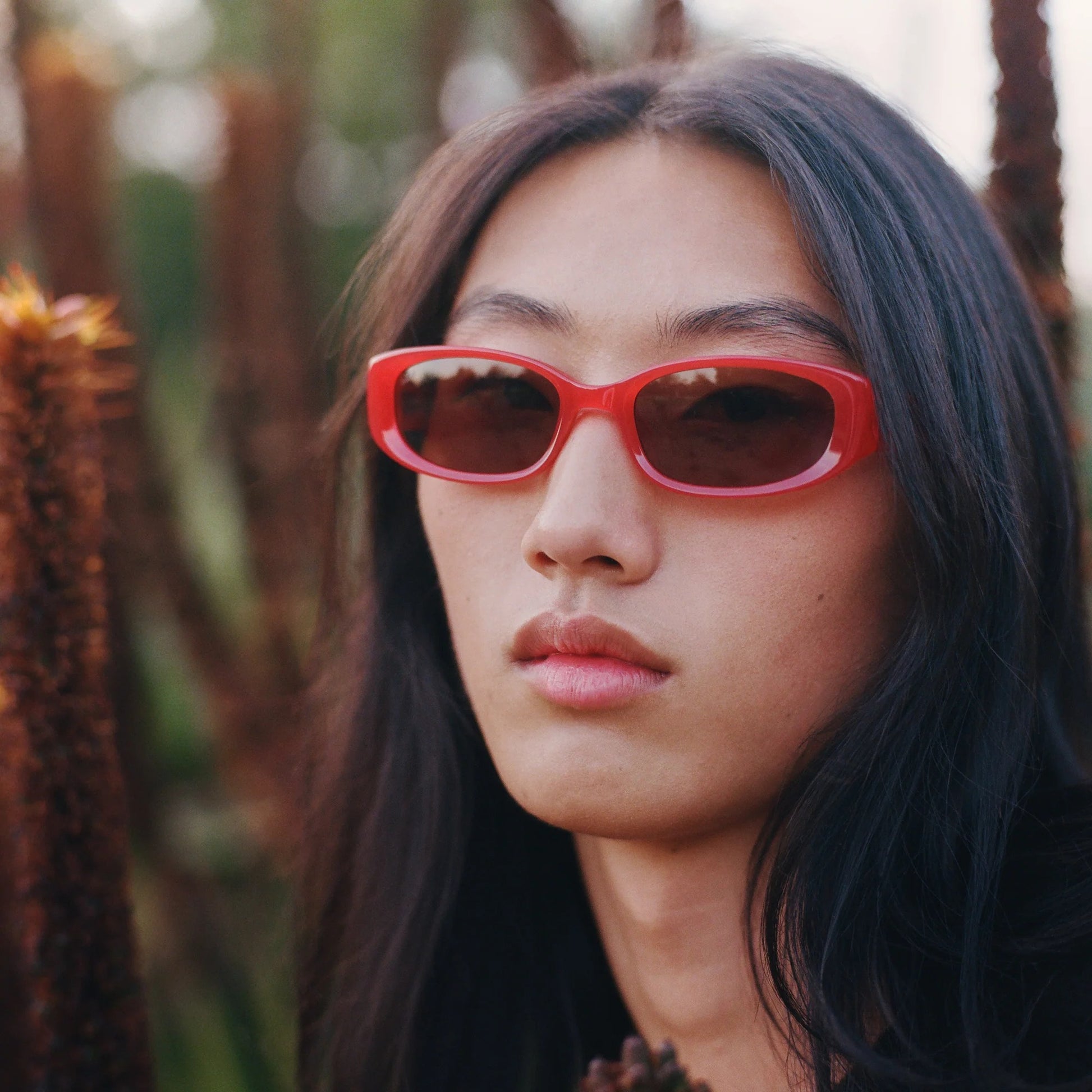 Mira / Chili & Brown Lens