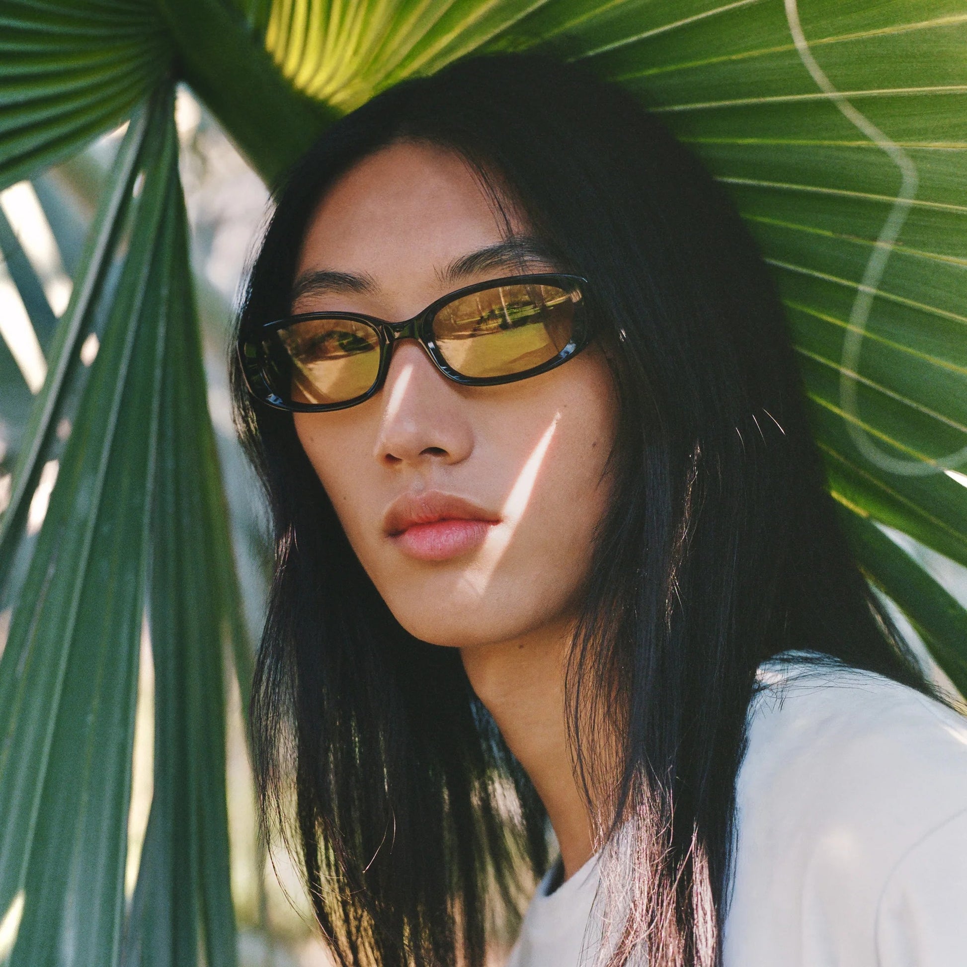 Mira / Espresso & Yellow Lens