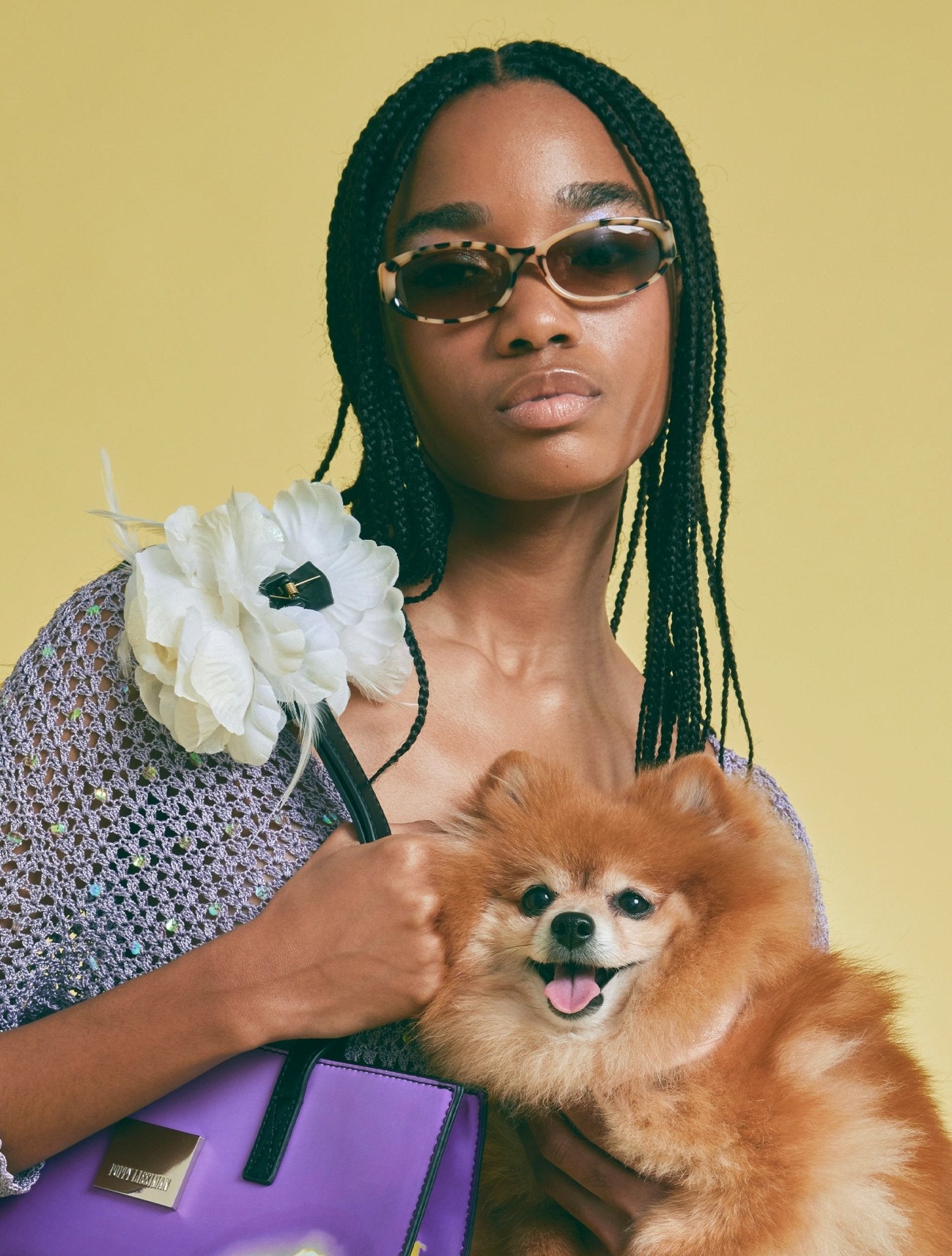 Kaz / Cream Torti & Brown Gradient Lens - Shade Files