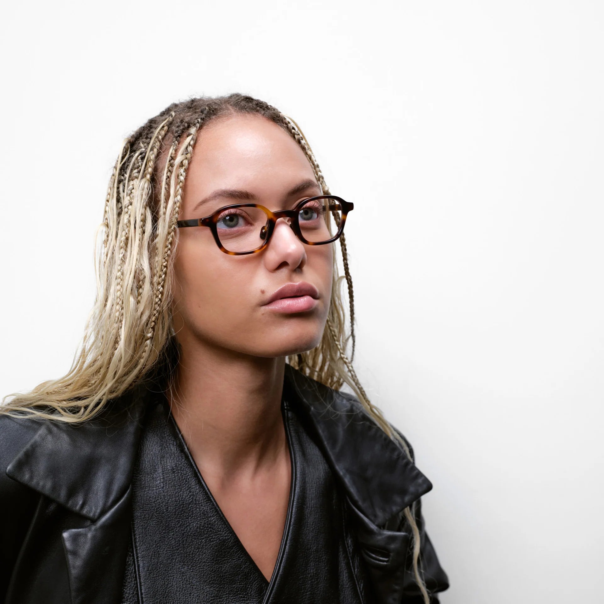 Meraki Optical / Tortoise Acetate & Blue - Light Lens - Shade Files