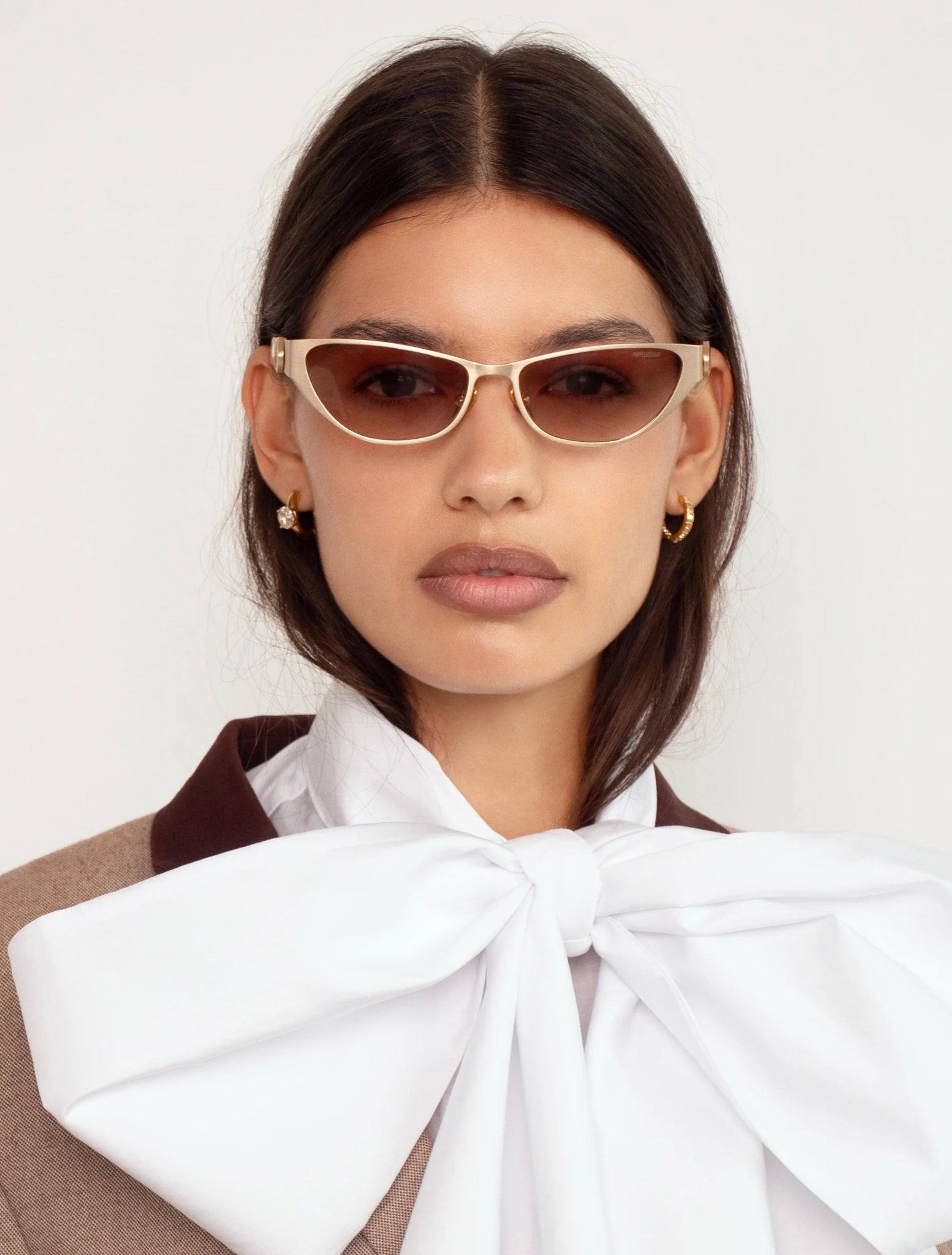 Mod / Gold/Torti & Brown Gradient Lens - Shade Files