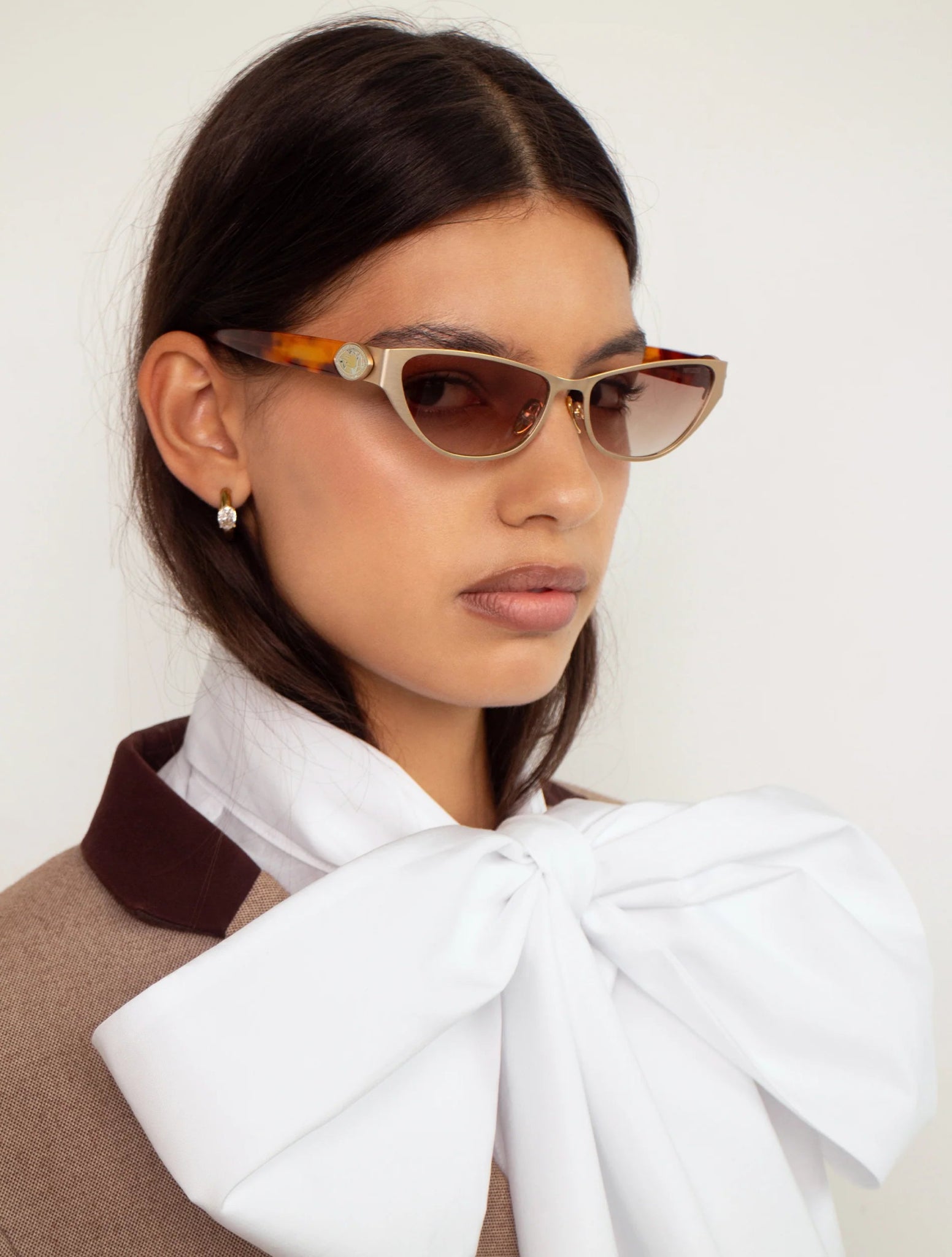 Mod / Gold/Torti & Brown Gradient Lens - Shade Files