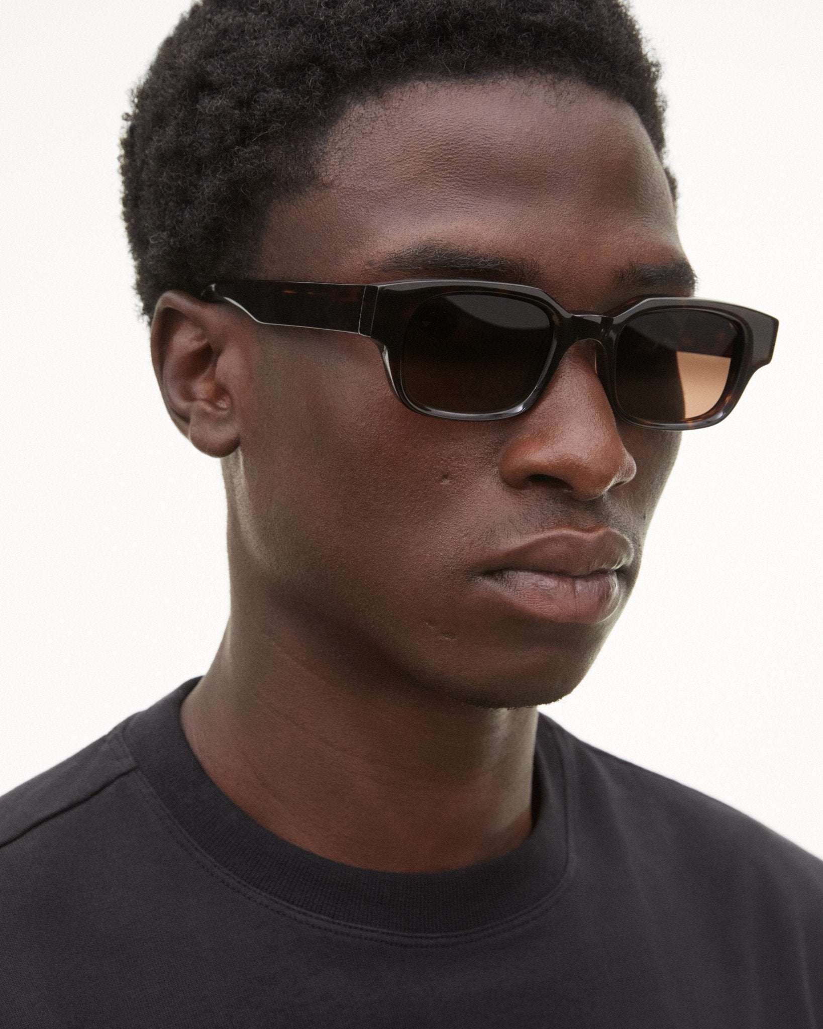 Mühlrad / Tortoise & Brown Gradient Lens - Shade Files