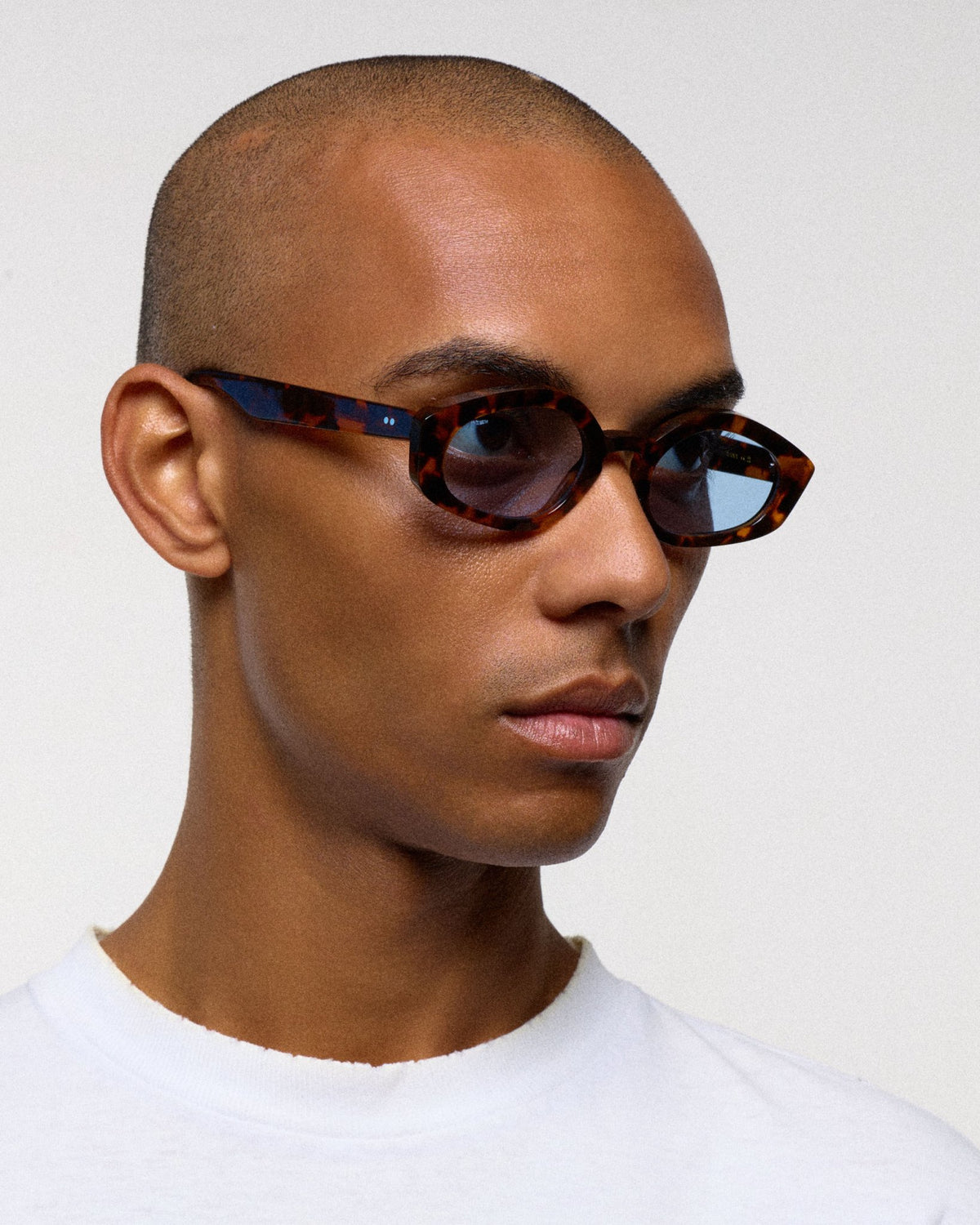 Nikko / Havana Acetate & Blue Solid Lens - Shade Files
