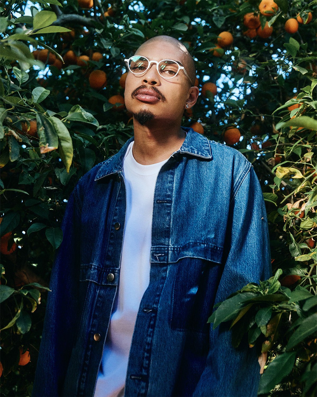 Oriel Optical / Matte Silver & Blue - Light Lens - Shade Files