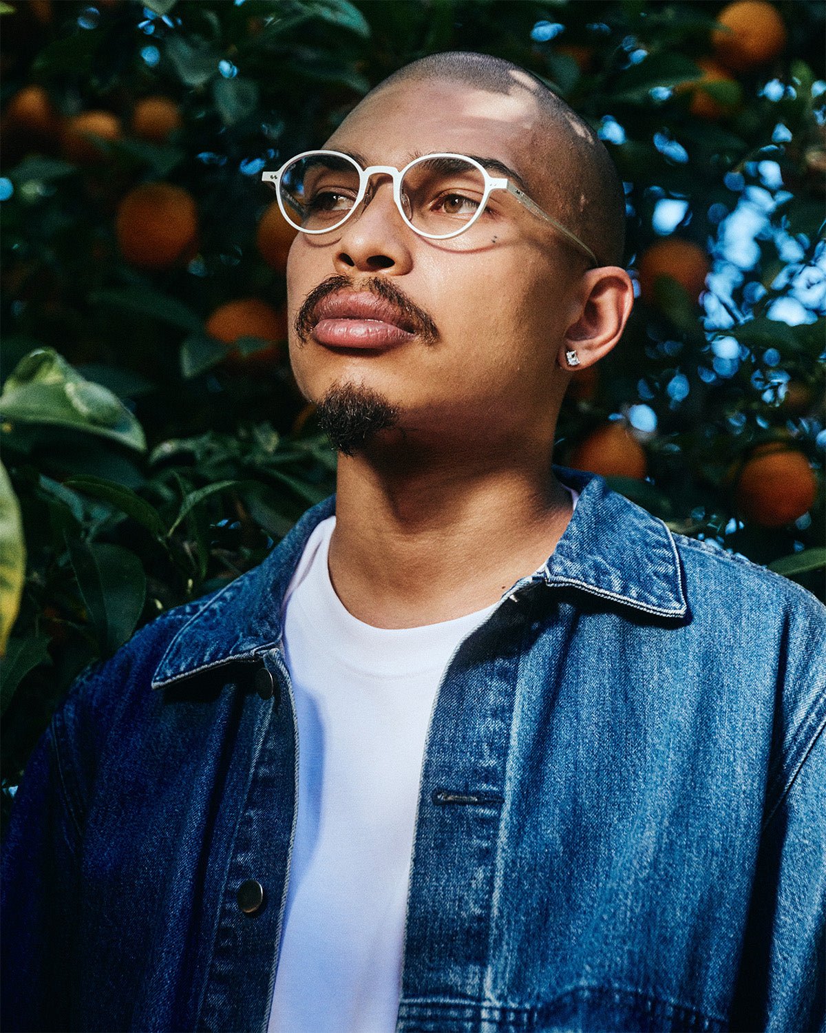 Oriel Optical / Matte Silver & Blue - Light Lens - Shade Files