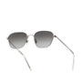 Otis / Silver Steel & Grey Gradient Lens - Shade Files
