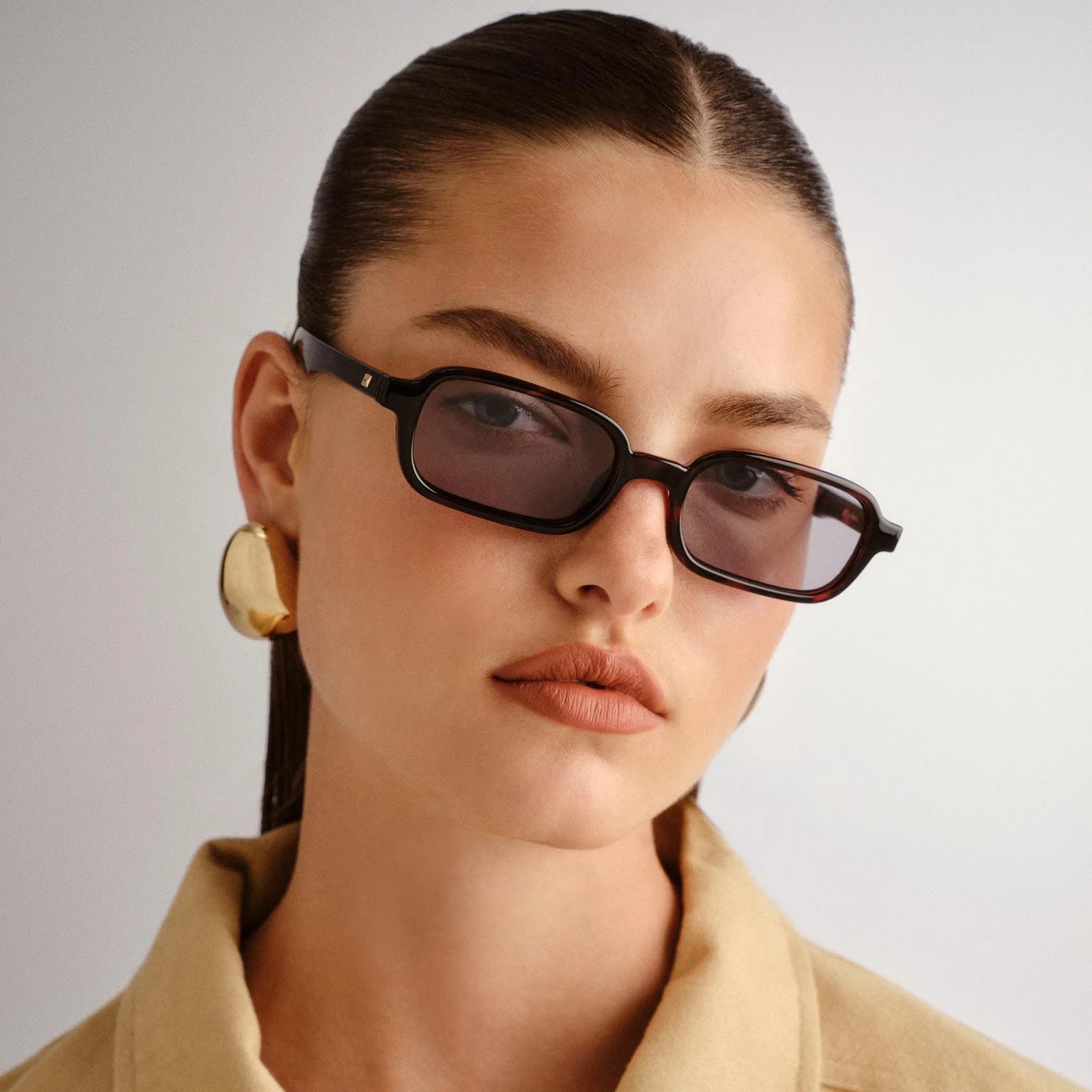 Pilferer / Cherry Tort & Smoke Lens - Shade Files