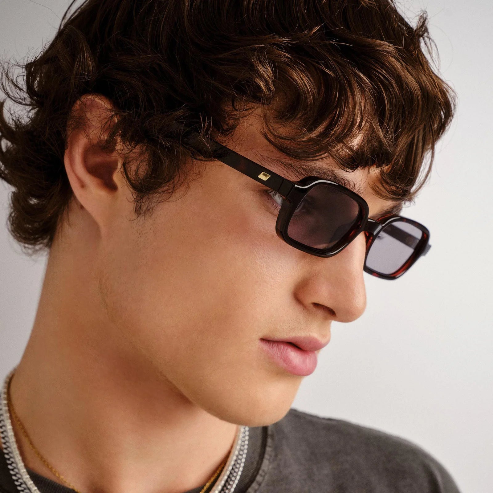 Pilferer / Cherry Tort & Smoke Lens - Shade Files