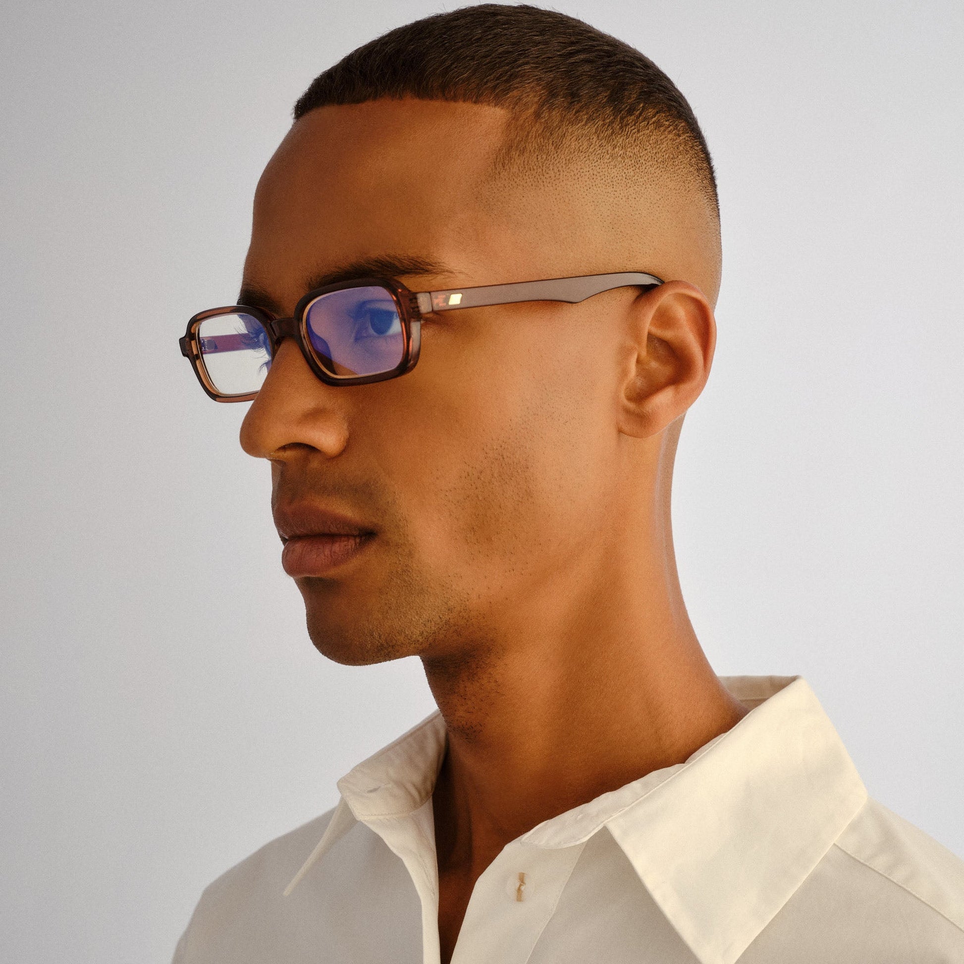 Pilferer / Chestnut & Blue Light Lens - Shade Files