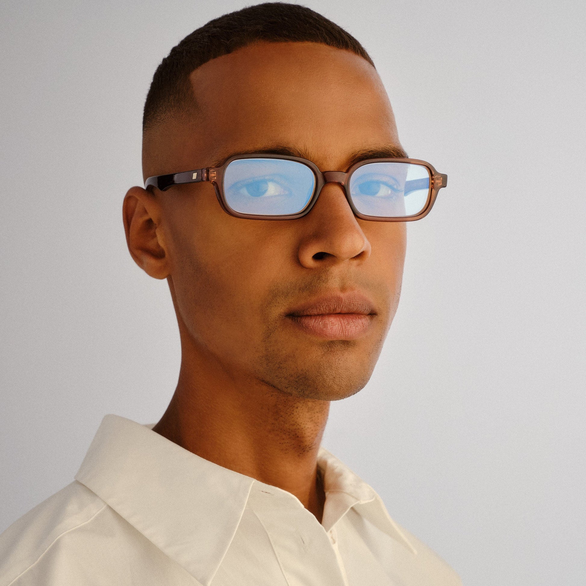 Pilferer / Chestnut & Blue Light Lens - Shade Files