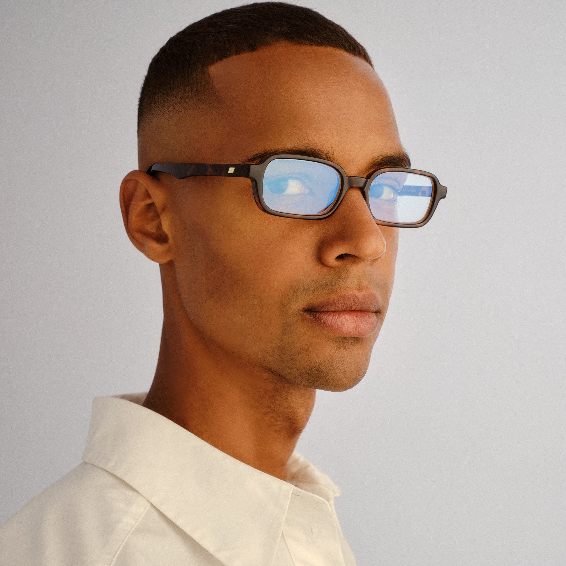 Pilferer / Tort & Blue Light Lens - Shade Files