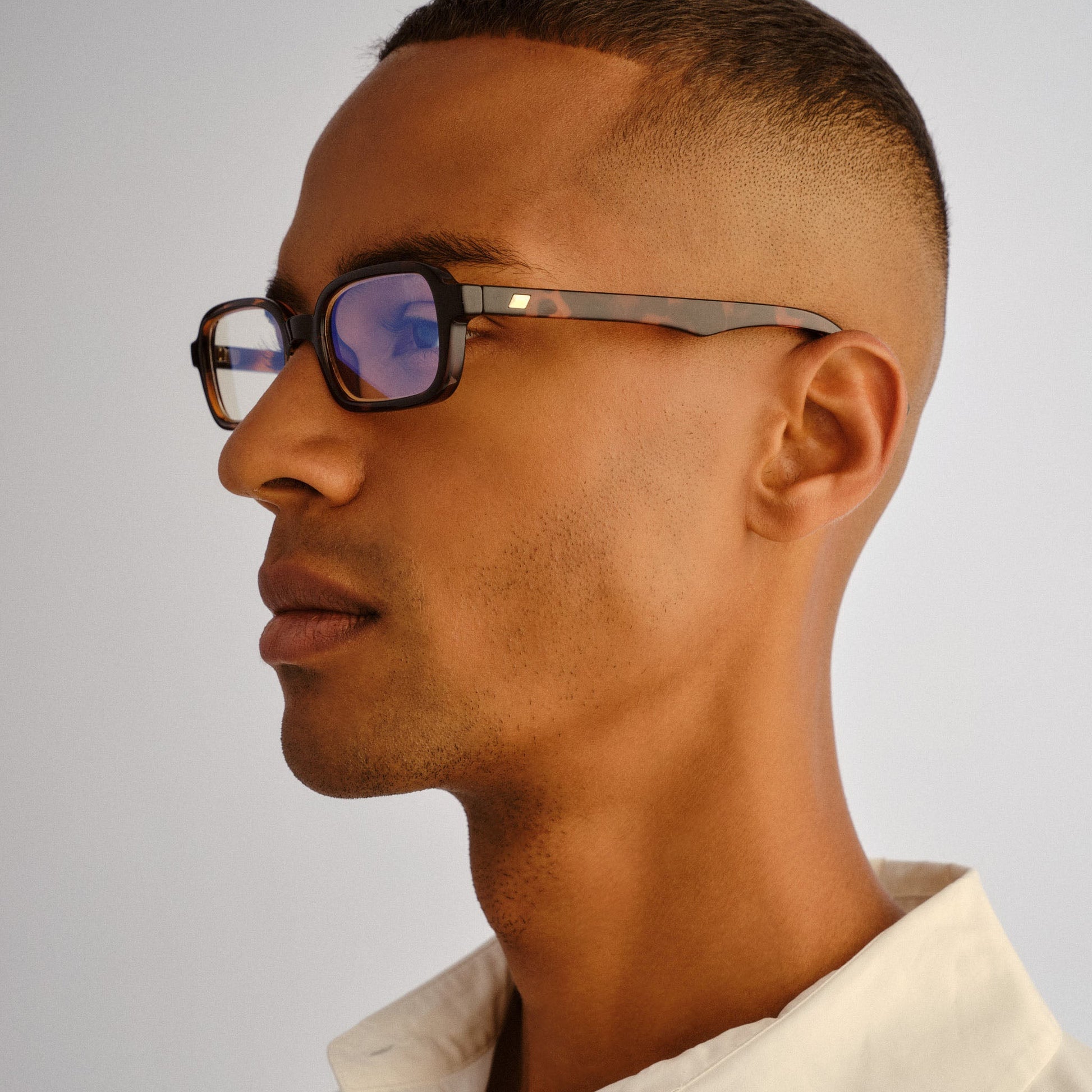 Pilferer / Tort & Blue Light Lens - Shade Files