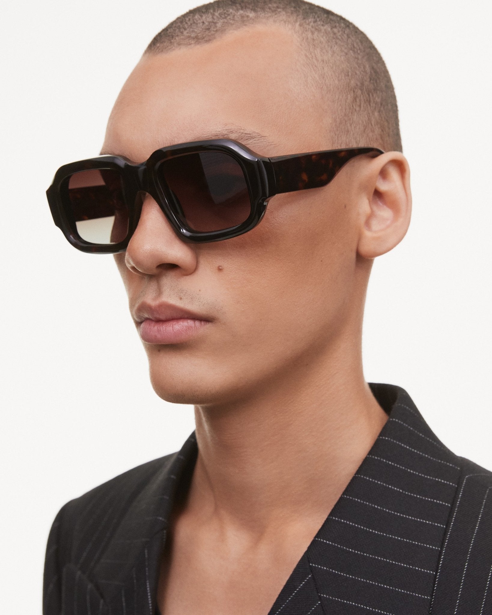 Plata / Tortoise & Brown Gradient Lens - Shade Files