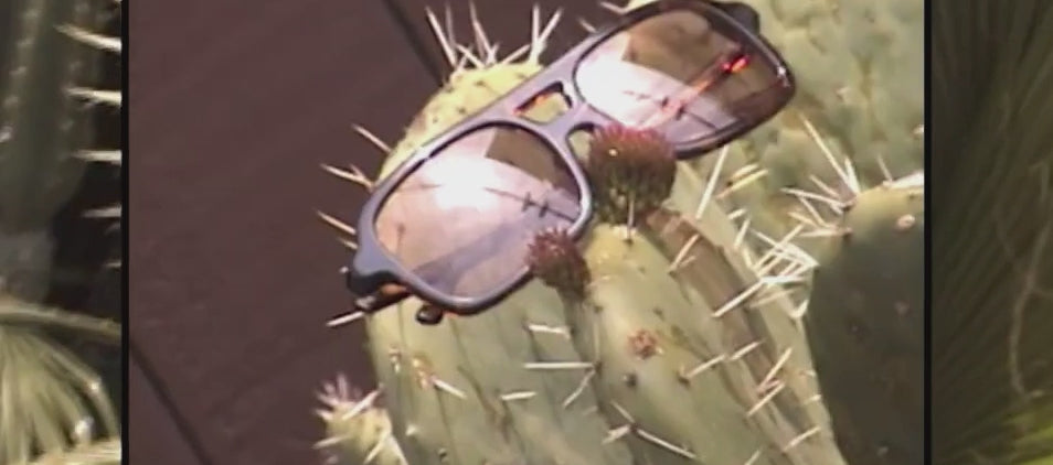 Crap Eyewear | The No Wave | Licorice Bio & Rosewood Sunglasses