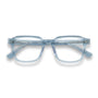 Rhys Optical / Blue Acetate & Prescription Lens - Shade Files