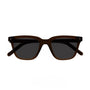 Robotnik / Chocolate Acetate & Grey Lens - Shade Files