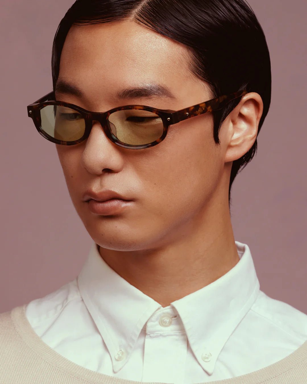 Roller Coaster Optical / Tortoise & Blue - Light Lens - Shade Files