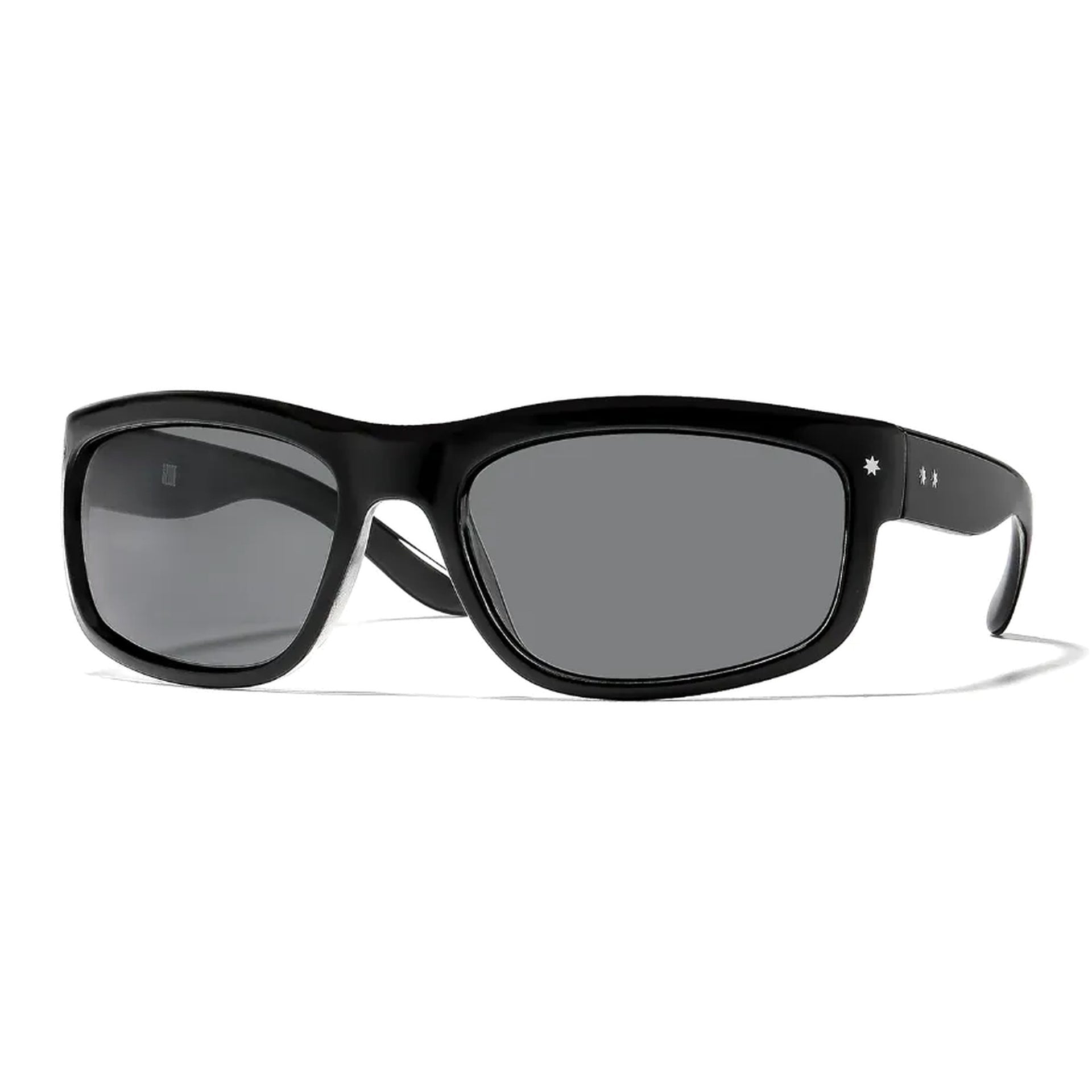 Ryder / Elysium Double Black & Ink Polarised Lens - Shade Files