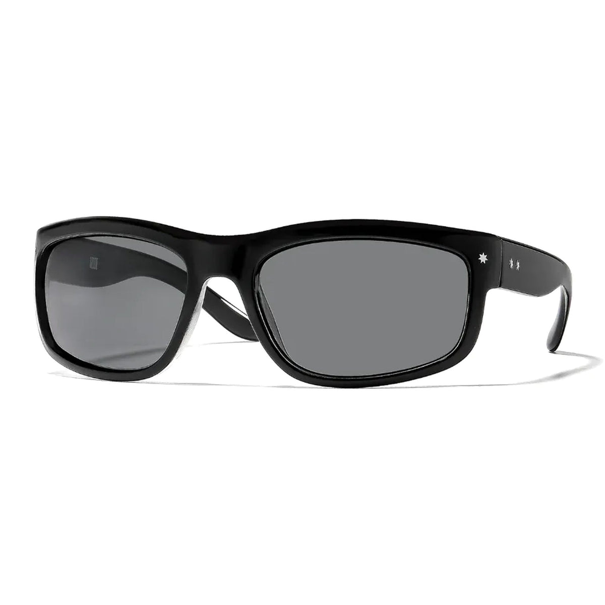 Ryder / Elysium Double Black & Ink Polarised Lens - Shade Files