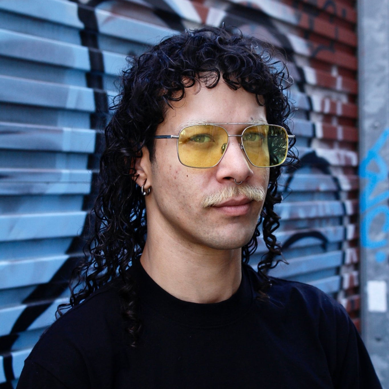 Stevie Optical / Silver Metal & Warm Gold Lens - Shade Files