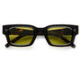 Syndicate / Tokyo Tortoise Acetate & Olive Lens - Shade Files