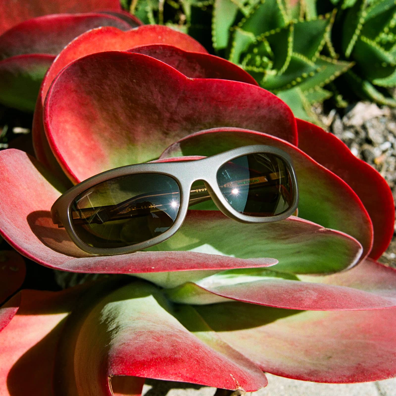 The Chaos Vault / Matte Crystal Mud Bio & Dune Lens - Shade Files