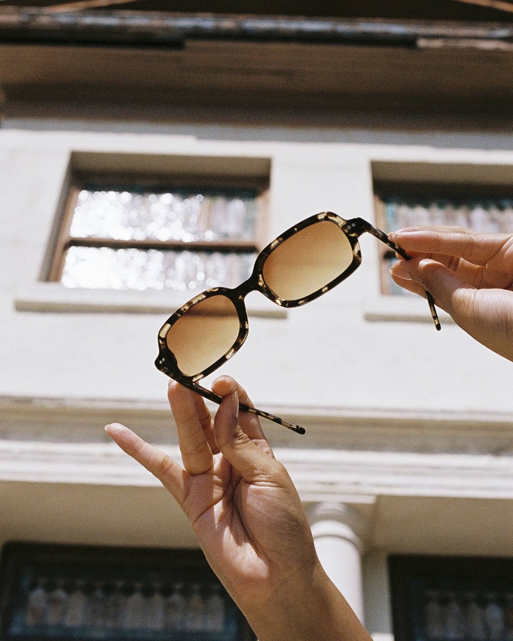 The Dream Cassette / Desert Tortoise Bio & Redwood Gradient Lens - Shade Files