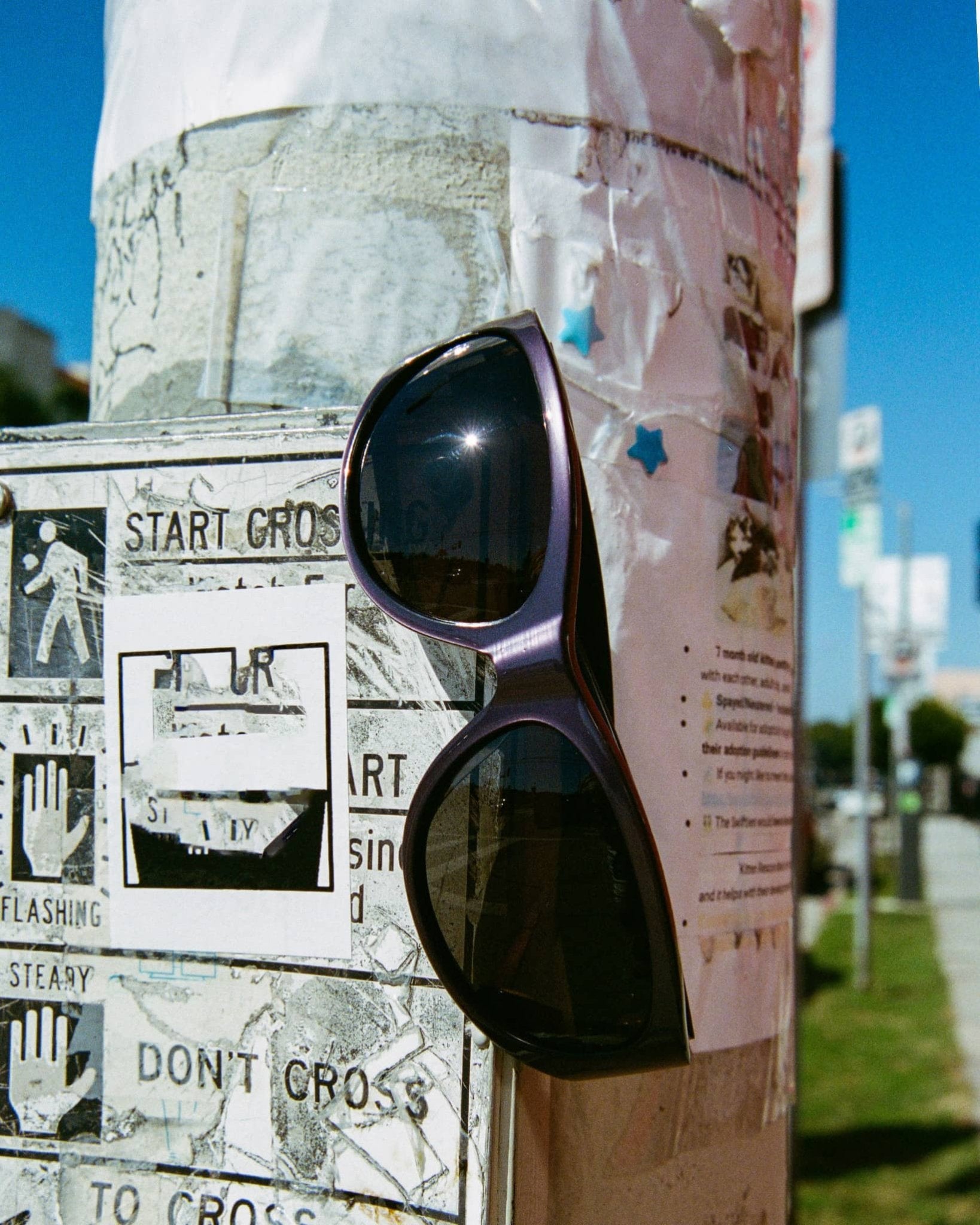The Funk Daddy / Recycled Metallic Plum & Purple Lens - Shade Files