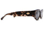 The Funk Punk / Desert Tortoise Bio & Polarised Smoke Gradient Lens - Shade Files