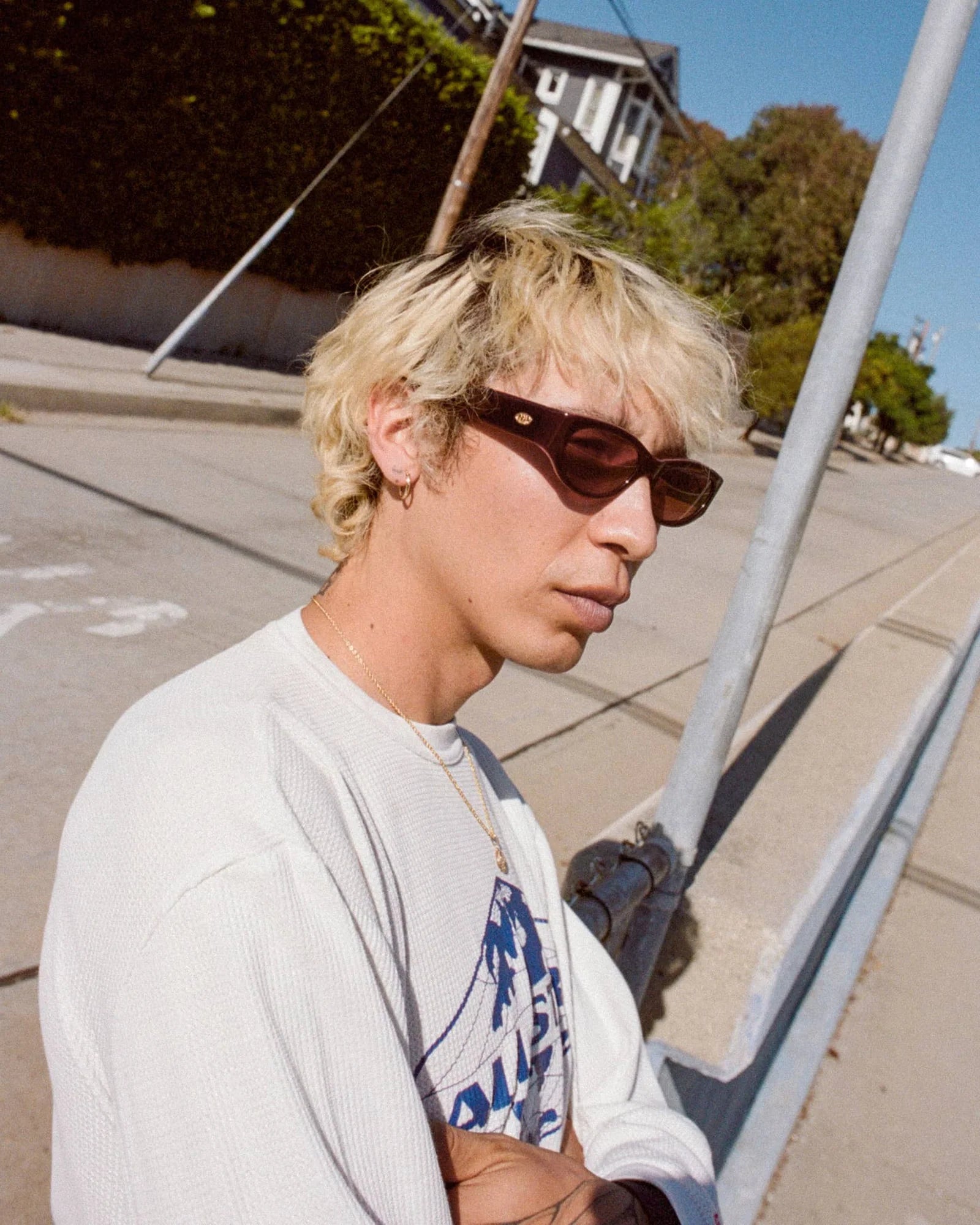 The Funk Punk / Oxblood Bio & Rosewood Lens - Shade Files