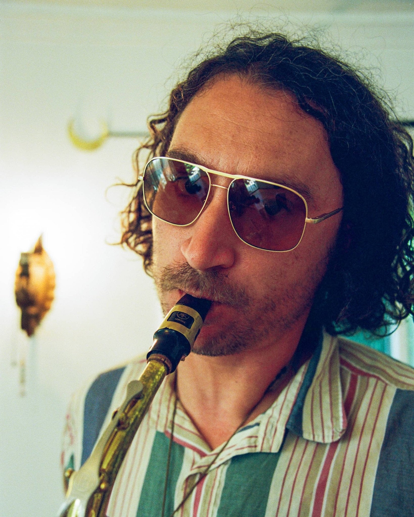 The Glass Bubble / Brushed Gold & Cinnamon Bio & Vintage Mustard Lens - Shade Files