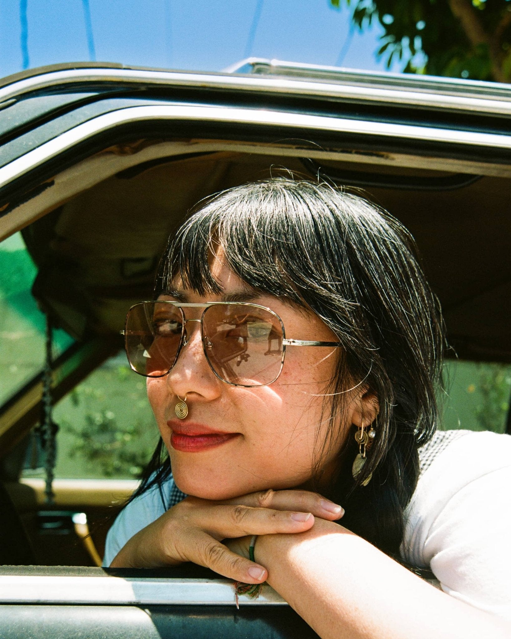 The Glass Bubble / Polished Silver & Espresso Tortoise Bio & Lilac Wash Lens - Shade Files