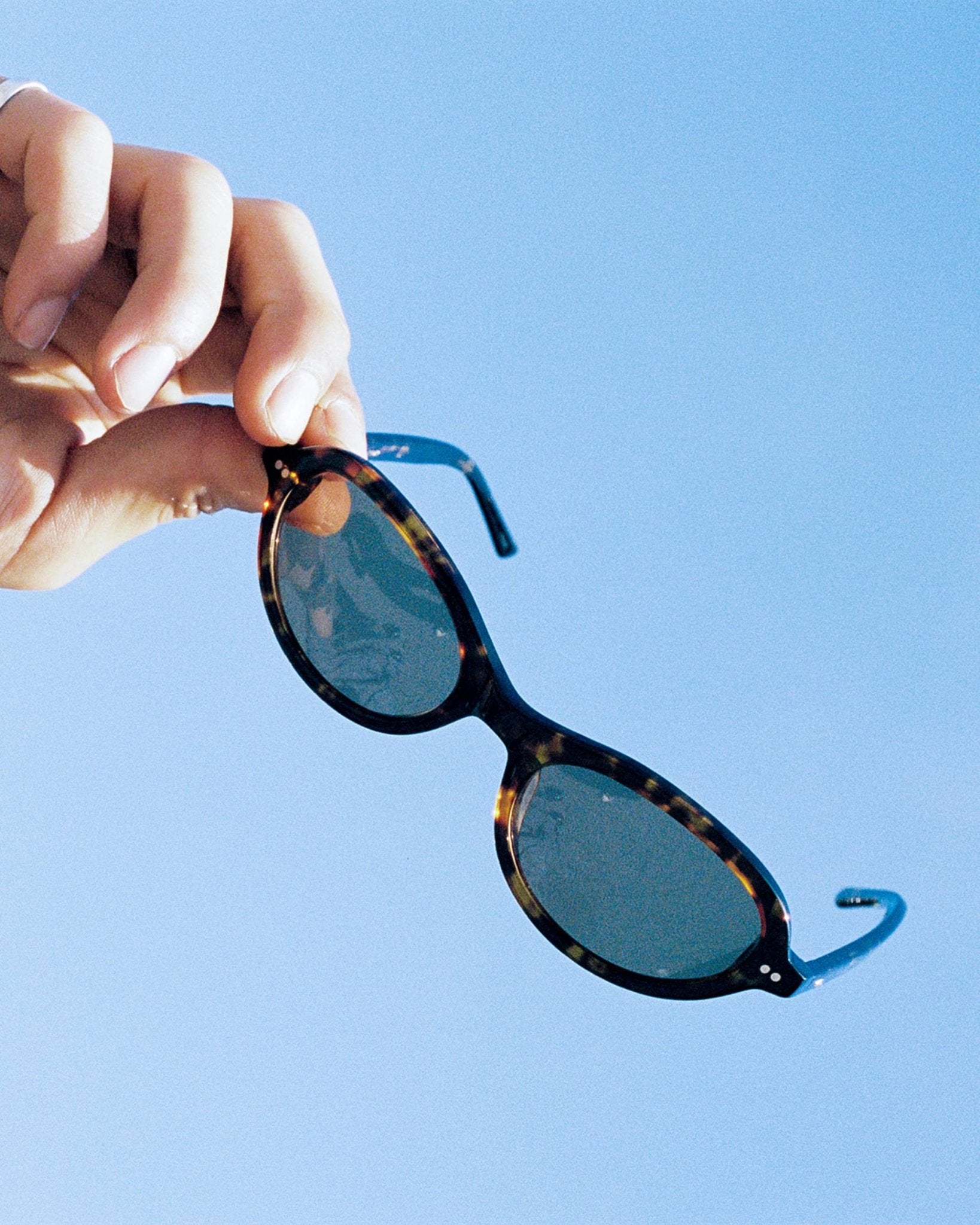 The Marquee Rox / Dark Tortoise Bio & Dune Lens - Shade Files