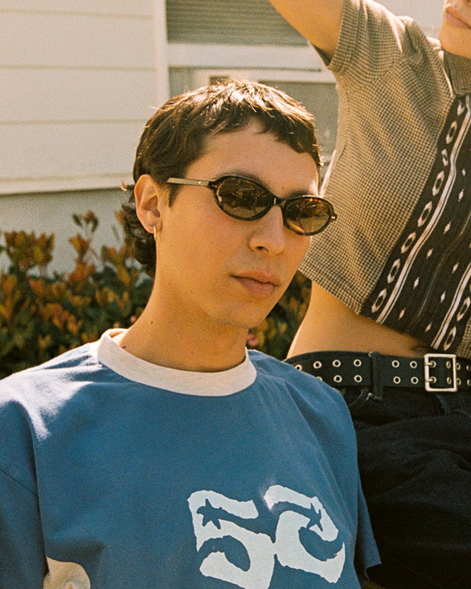 The Marquee Rox / Dark Tortoise Bio & Dune Lens - Shade Files