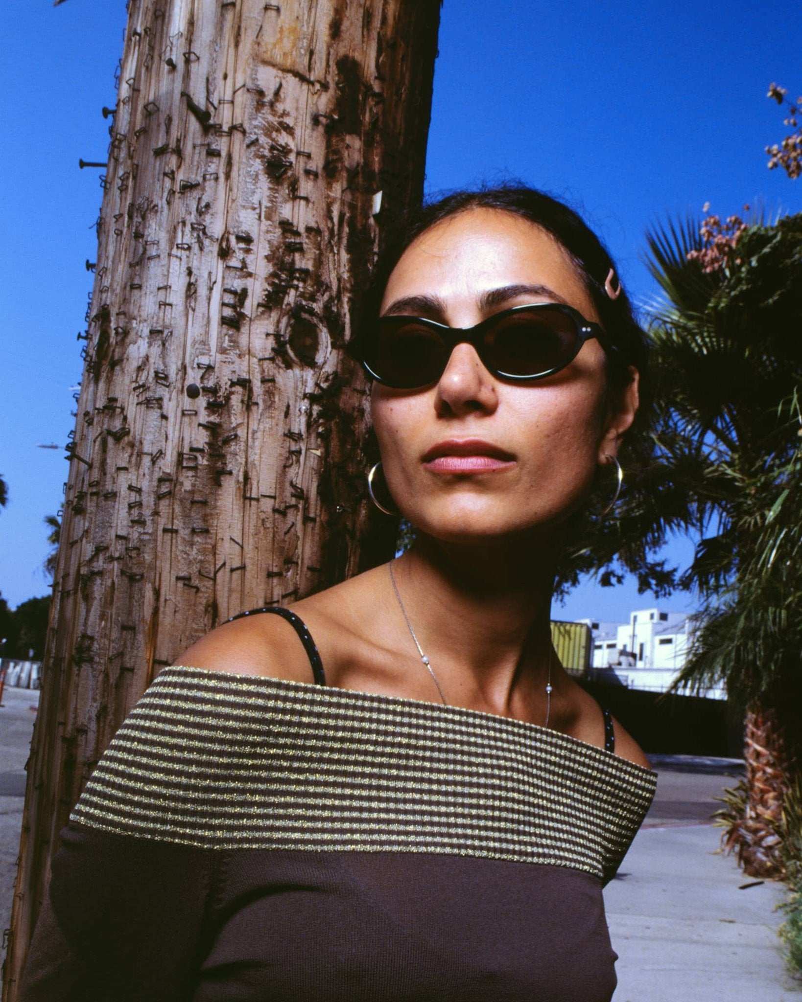 The Marquee Rox / Midnight Forest Bio & Polarised Smoke Lens - Shade Files