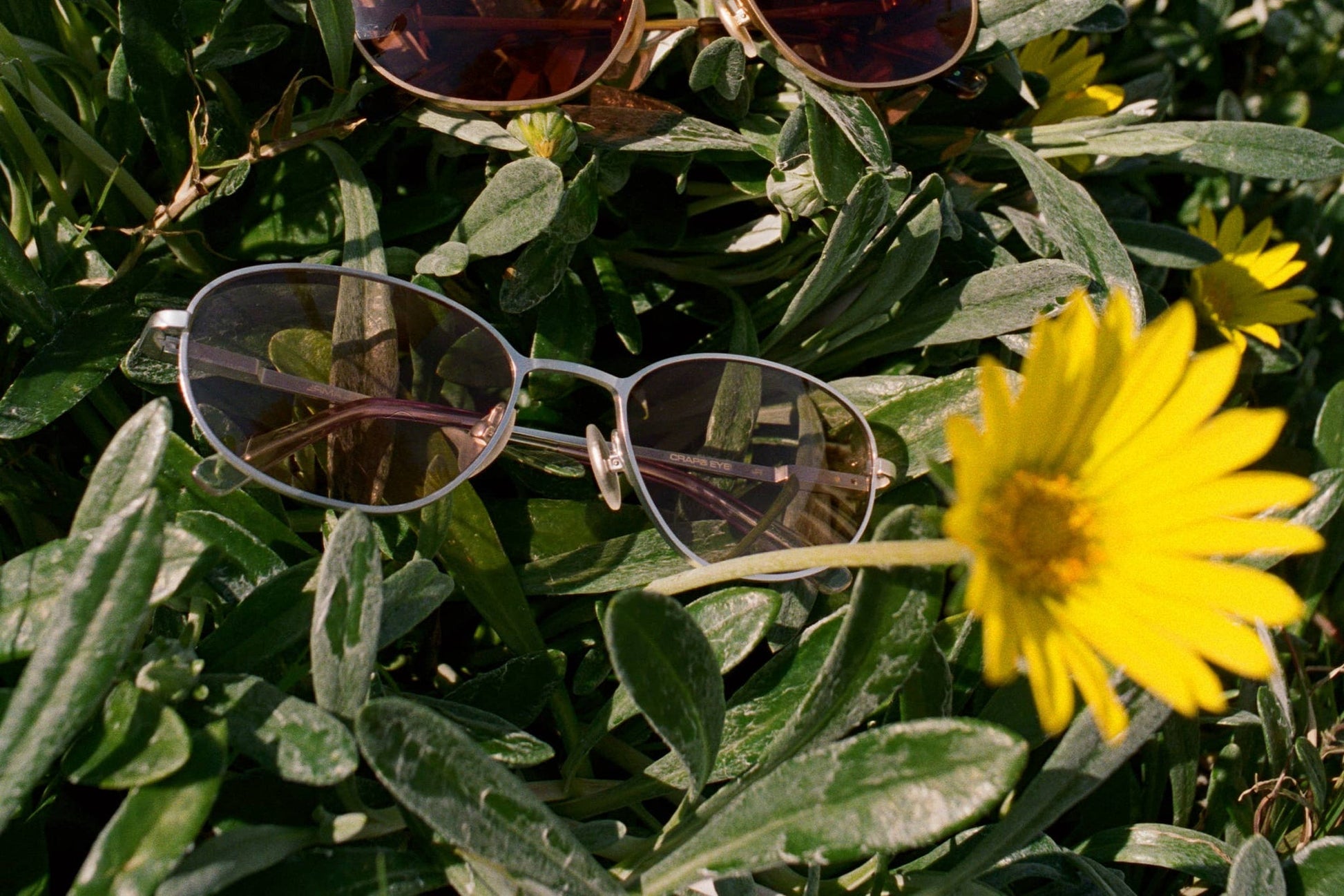 The Perma Joy / Matte Chrome & Lilac Gradient Bio Lens - Shade Files