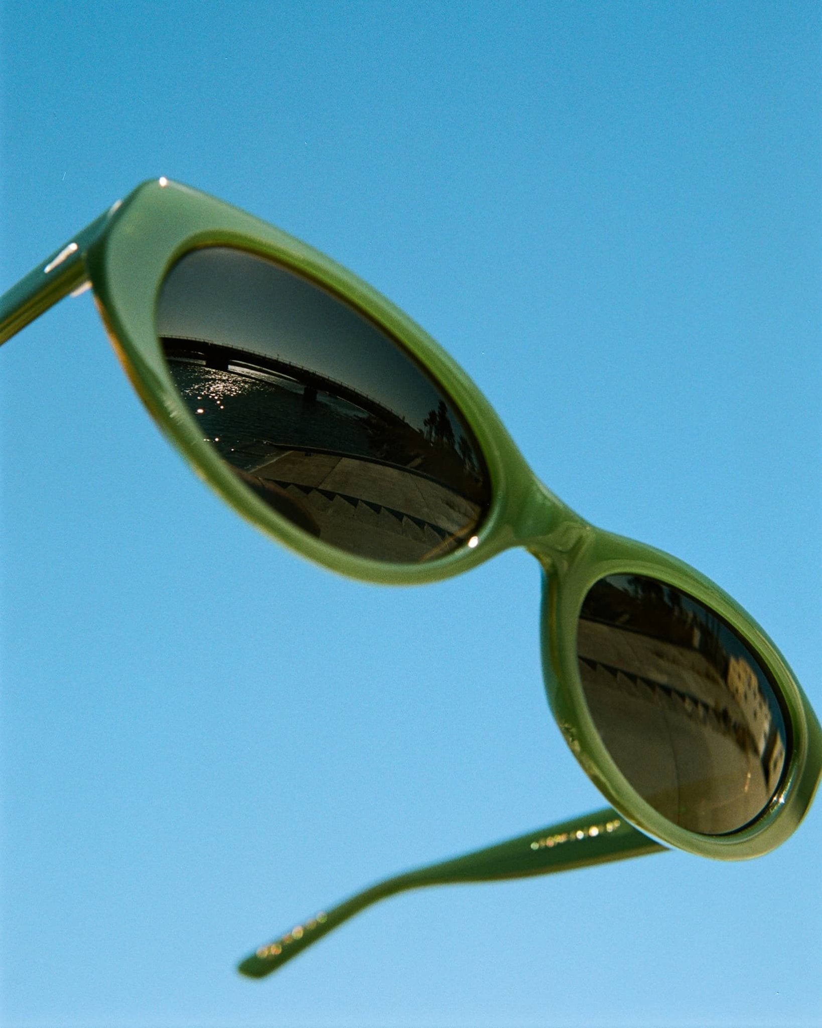 The Petal Bomb / Moss Bio & Polarised Desert Gradient Lens - Shade Files