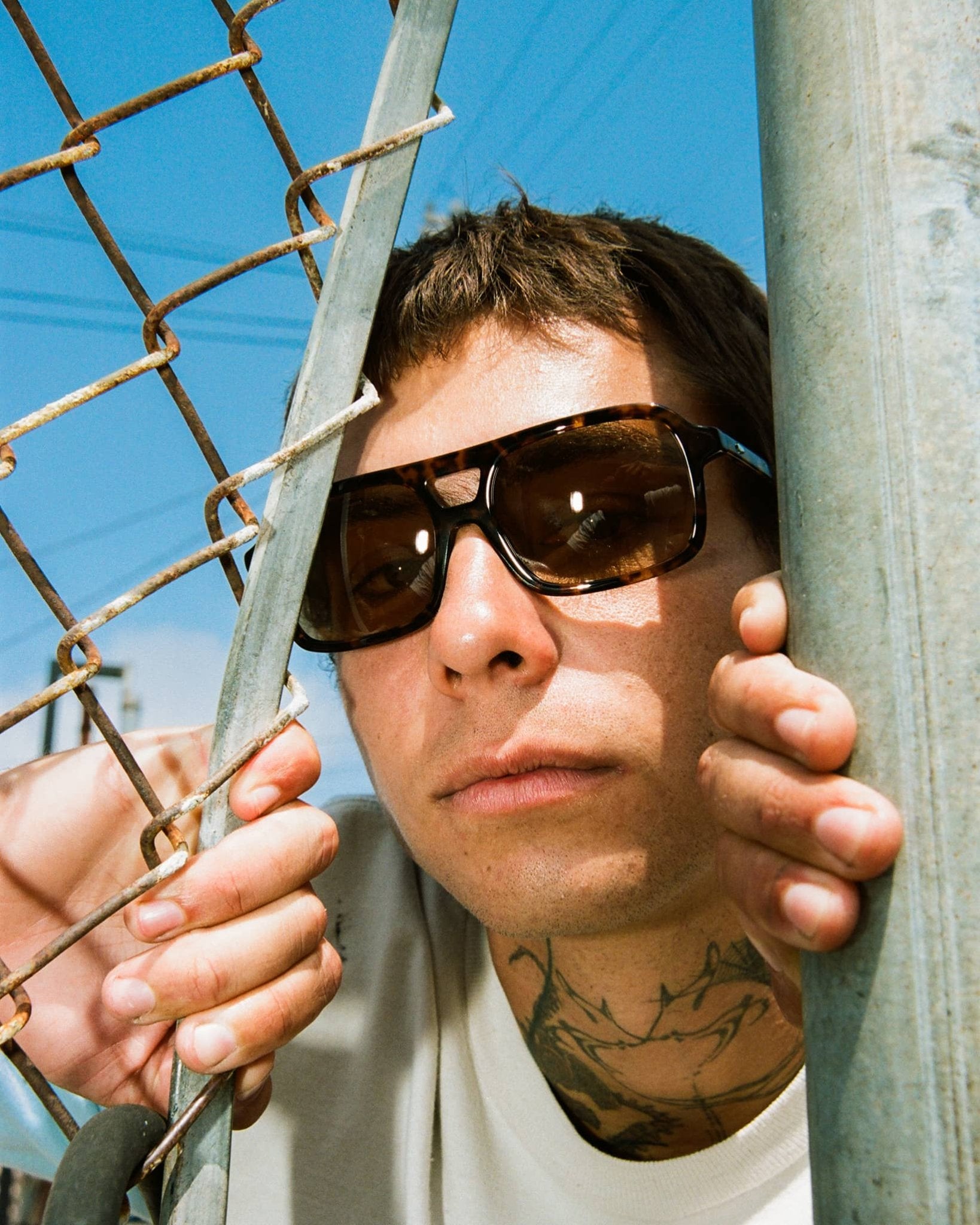 The Spaced Ranger / Dark Tortoise Bio & Shroom Lens - Shade Files