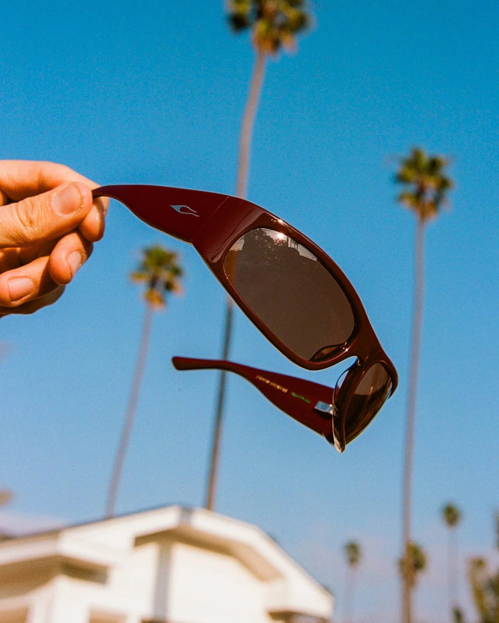 The Speed Charm / Mahogany Bio & Cinnamon Lens - Shade Files