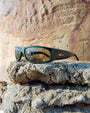 The Speed Charm / Midnight Forest Bio & Hemp Lens - Shade Files