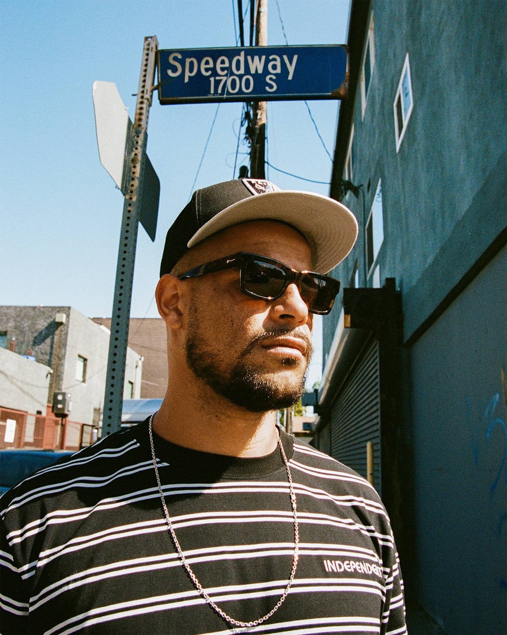 The Speedway / Lunar Tortoise Bio & Polarised Lens - Shade Files