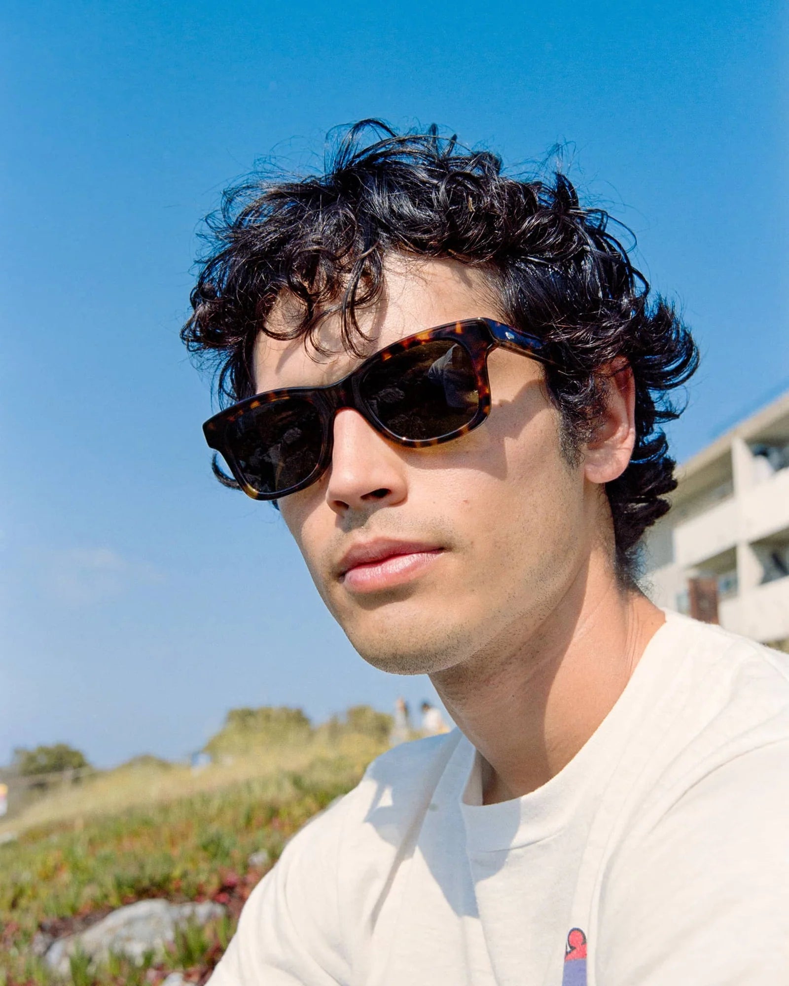 The Suntan Underground / Lunar Tortoise Bio & Polarised G15 Lens - Shade Files
