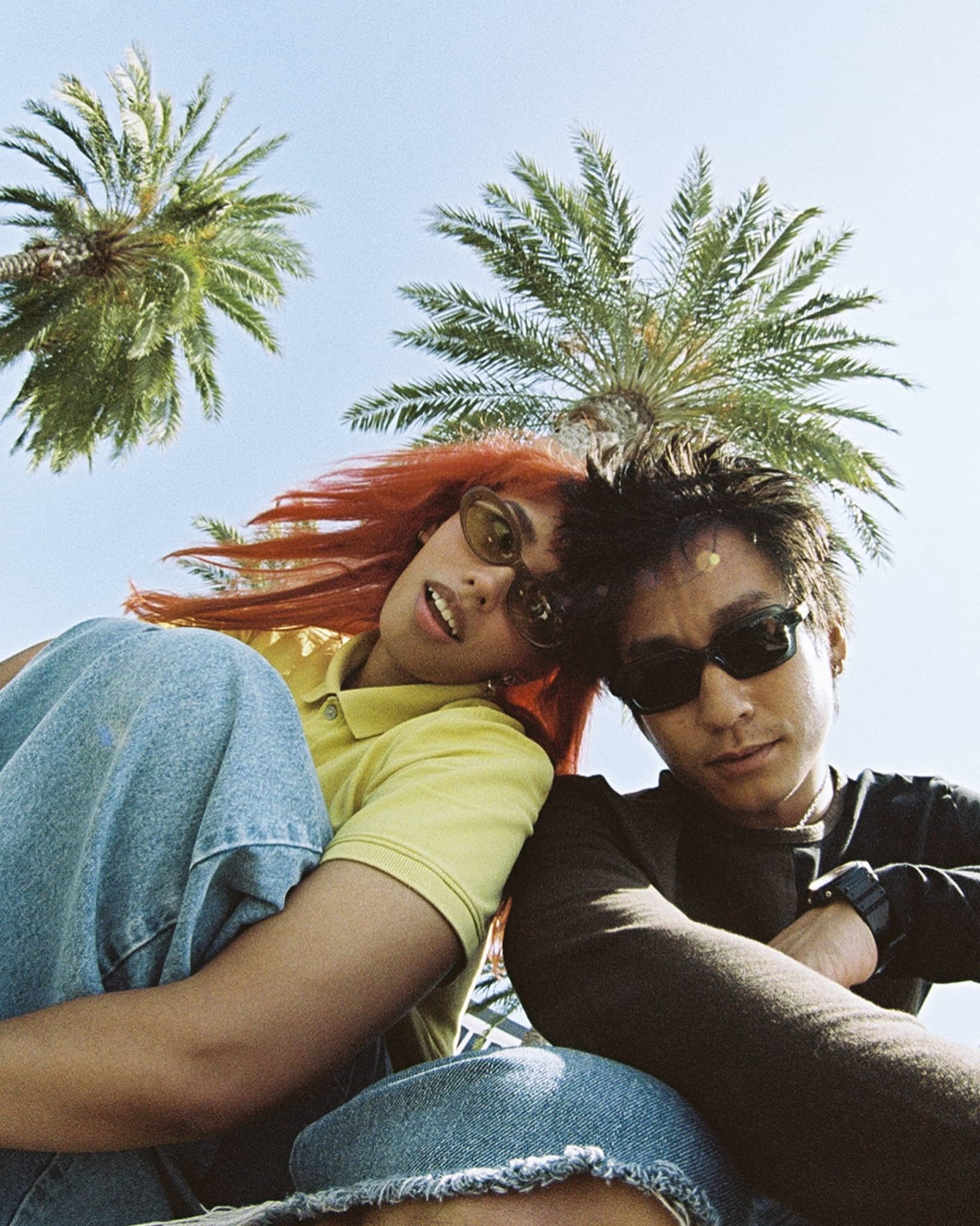 The Sweet Leaf / Mustard Seed Bio & Kelp Gradient Lens - Shade Files