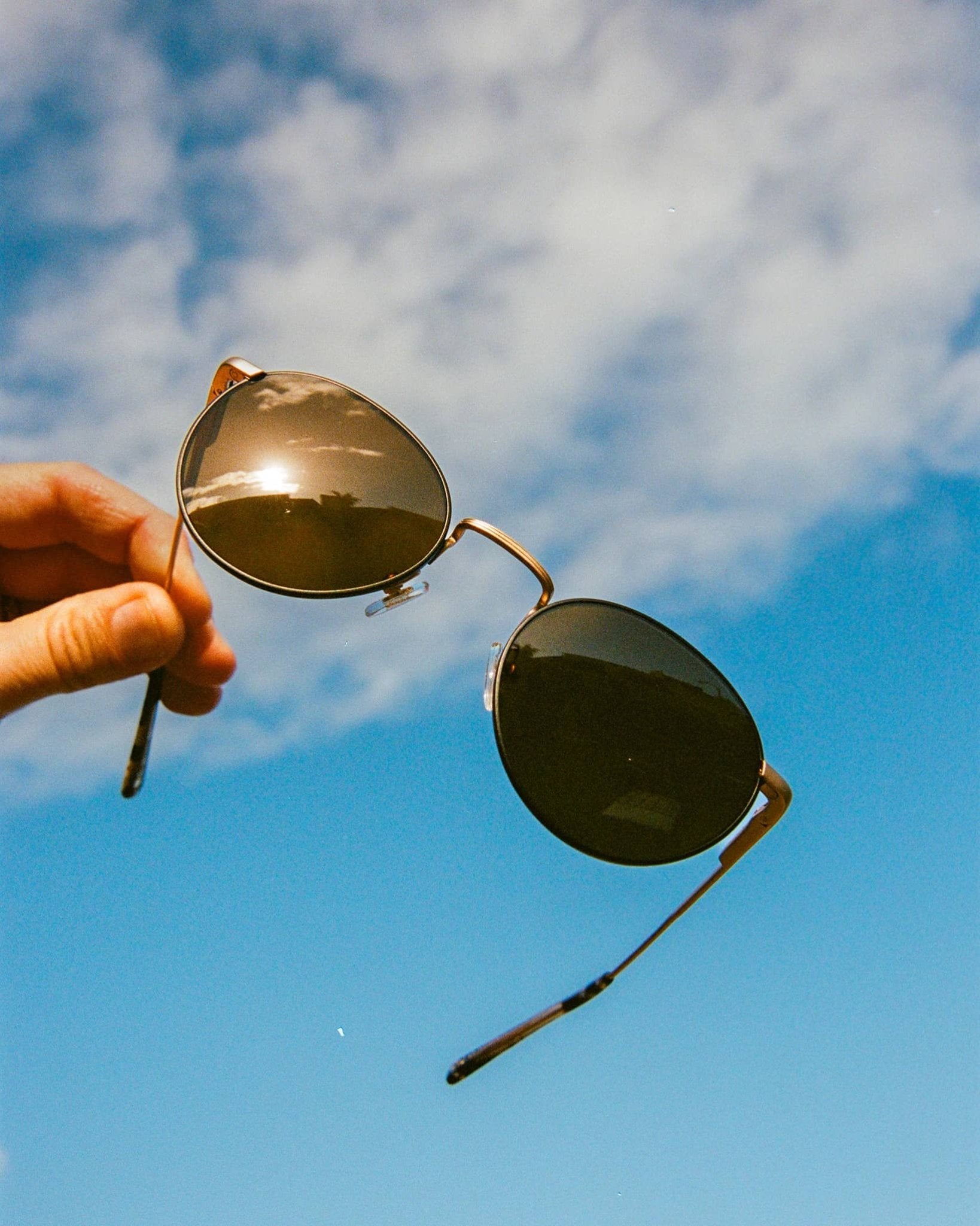 The Tuff Patrol / Matte Gold Black Rims Desert Tortoise Bio & Polarised Bronze Lens - Shade Files