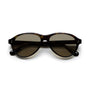 Tome / Tortoise Acetate & Brown Lens - Shade Files