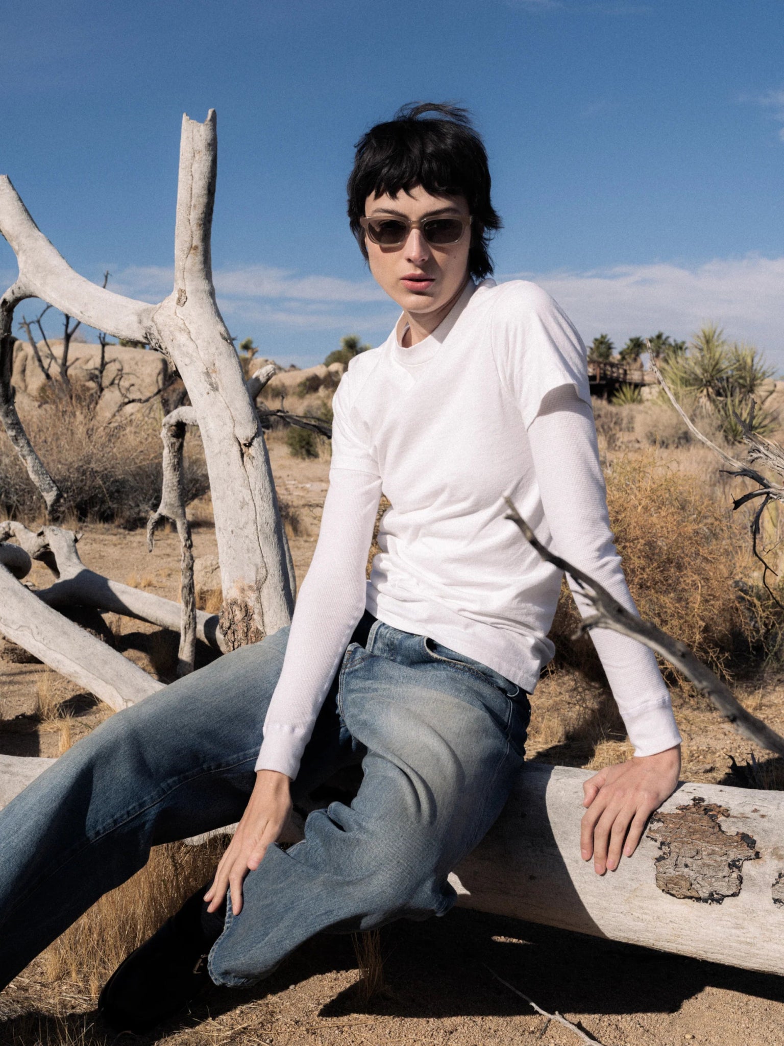 Trivia / Beige Acetate & Grey Lens - Shade Files