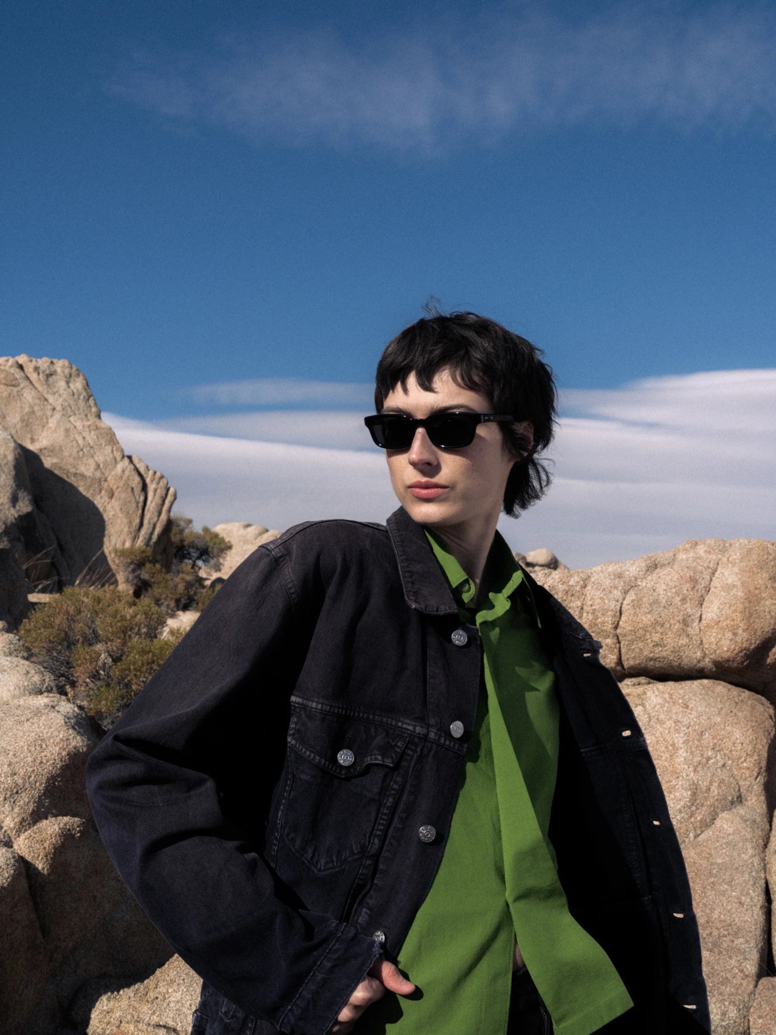 Trivia / Black Acetate & Black Lens - Shade Files