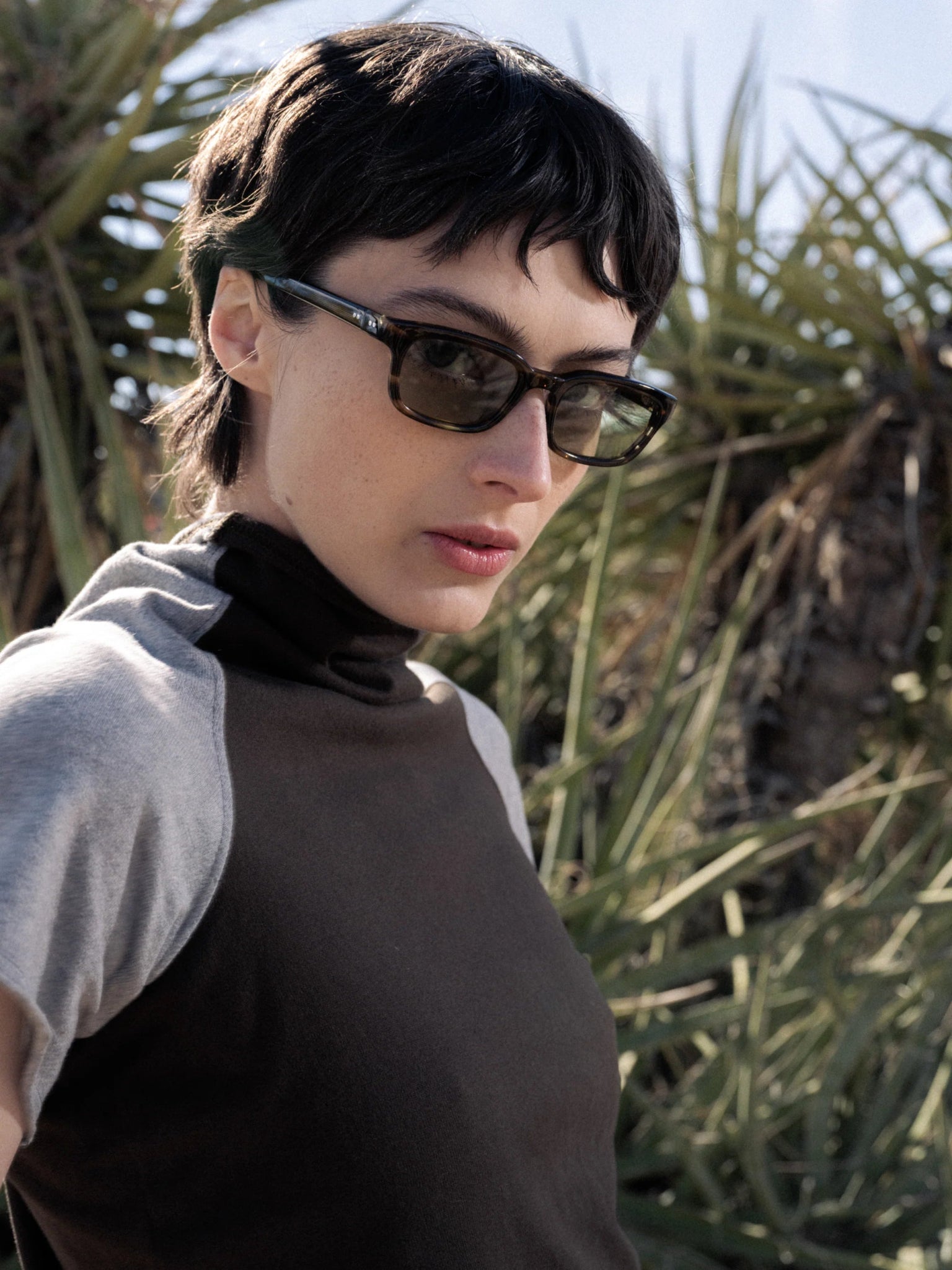 Trivia / Olive Havana Acetate & Green Lens - Shade Files