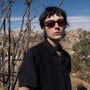 Trivia / Oxblood Acetate & Maroon Lens - Shade Files